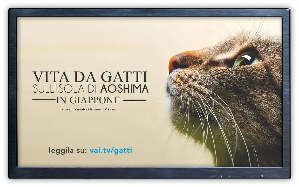 Un monitor SopraLeRighe TV in funzione in uno store